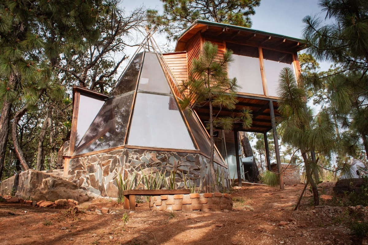 A uniquely designed tipi structure is framed by natural surroundings. The exterior features a combination of glass panels and wooden accents. A stone pathway and small seating area of circular stones are visible, leading to the base of the tipi, enhancing the connection to the forest.