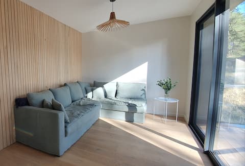 Annonce Airbnb populaire: "The Red Cedar" pine forest view, spa à Quend