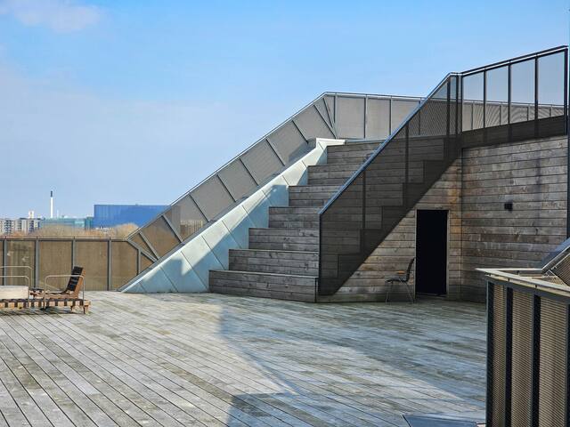 5 bedroom Luxury suite in CPH gallery image 4