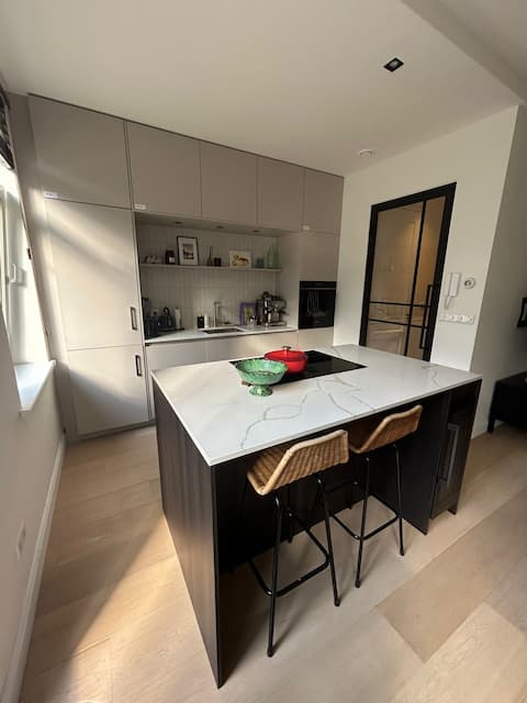 Top performing Airbnb: Luxurious apartment in Amsterdam (The Pijp) in Hemonybuurt