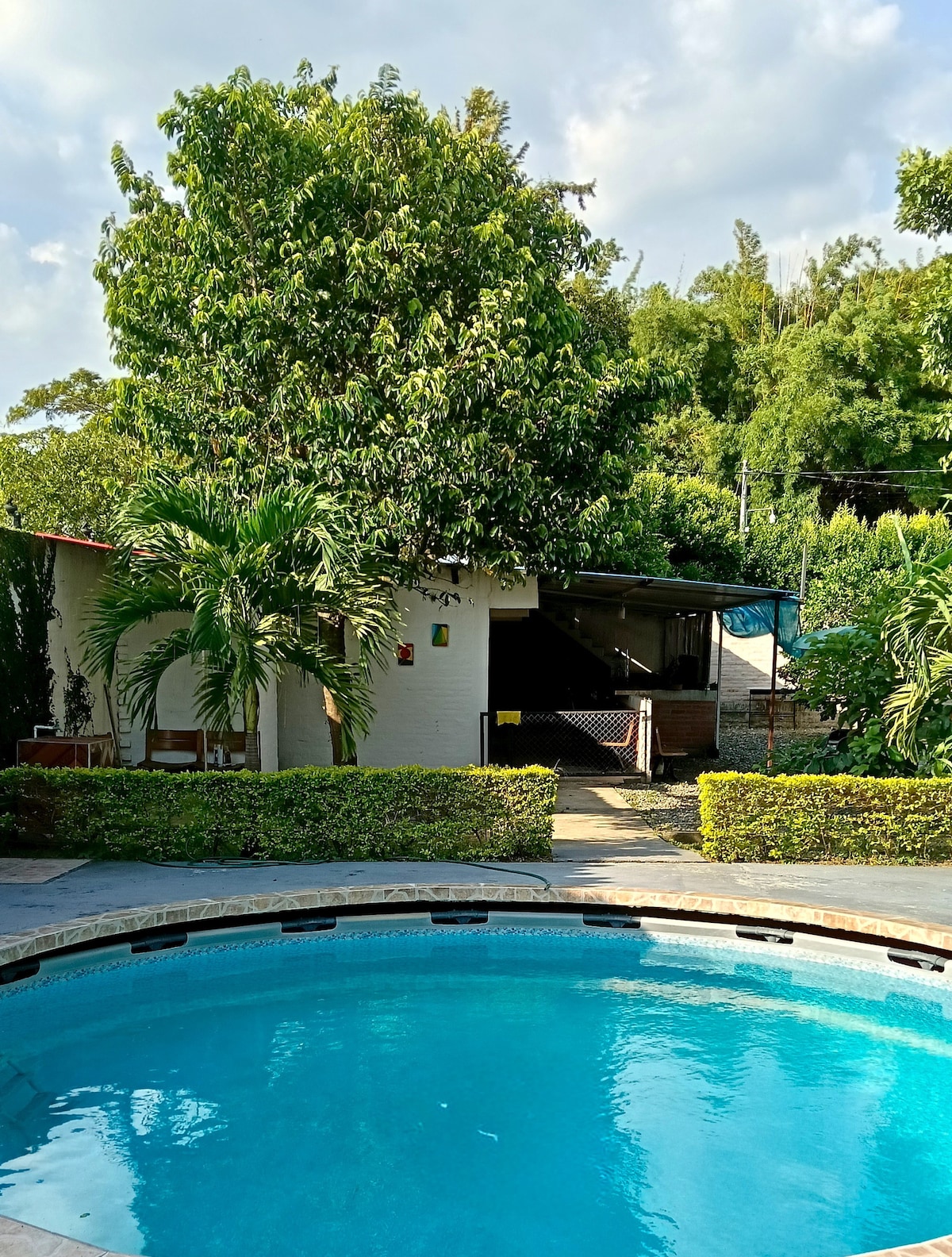 A crystal-clear swimming pool is framed by lush greenery and tropical plants. A shaded area and a patio are visible in the background, providing a serene environment. The gentle contours of the pool's edge lead to a well-maintained pathway, inviting relaxation amidst nature.