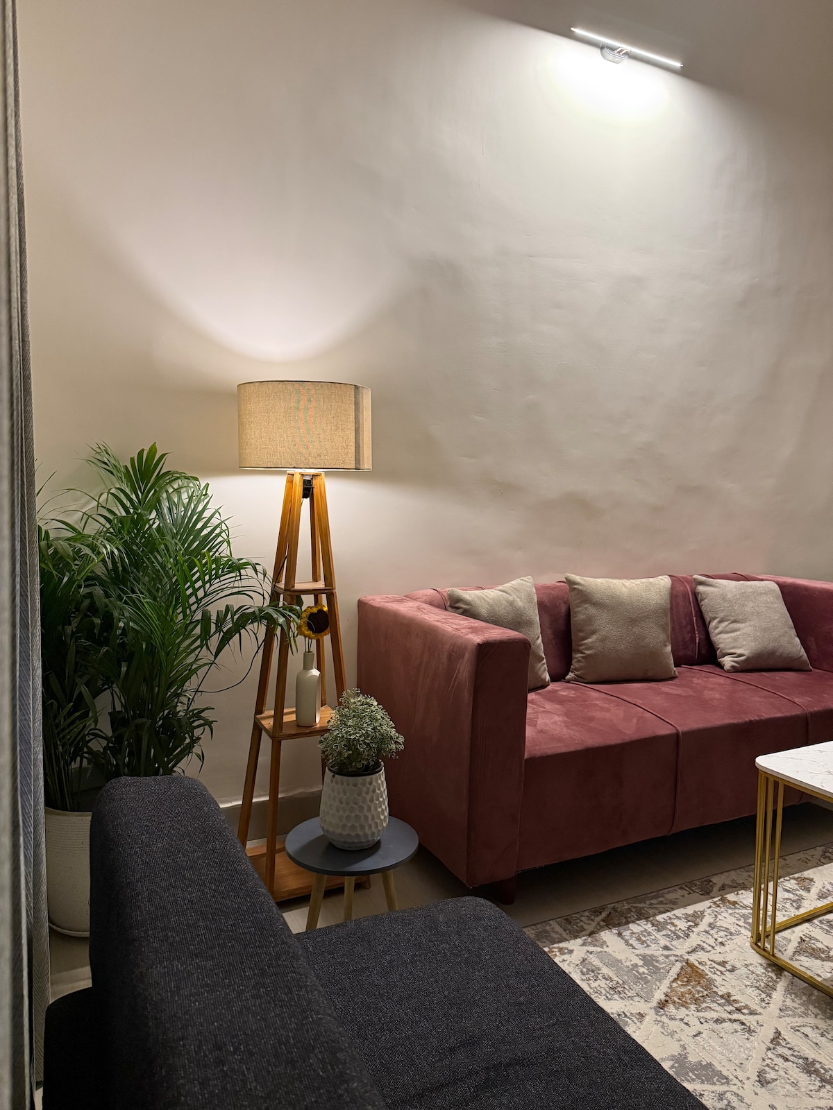 A living area features a two-tone sofa arrangement, with a plush pink couch adorned with cushions and a dark sofa. A tall floor lamp casts a warm glow, while a potted plant adds a touch of greenery. A small table holds a decorative vase.