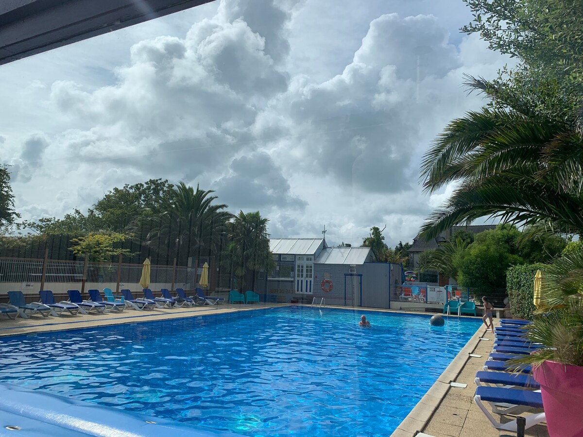 A large outdoor swimming pool is surrounded by lounge chairs and shaded by palm trees. Soft blue water reflects the sky, which is filled with fluffy white clouds. A building with large windows is visible in the background, contributing to the inviting setting.