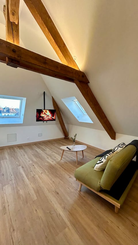 Popular Airbnb listing: Bright cozy loft in Colmar in Colmar