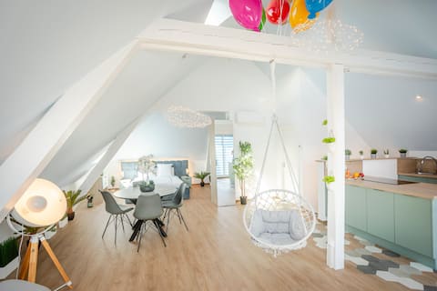 Top performing Airbnb: Up – Close to Basel | Attic Loft & View in Saint Louis