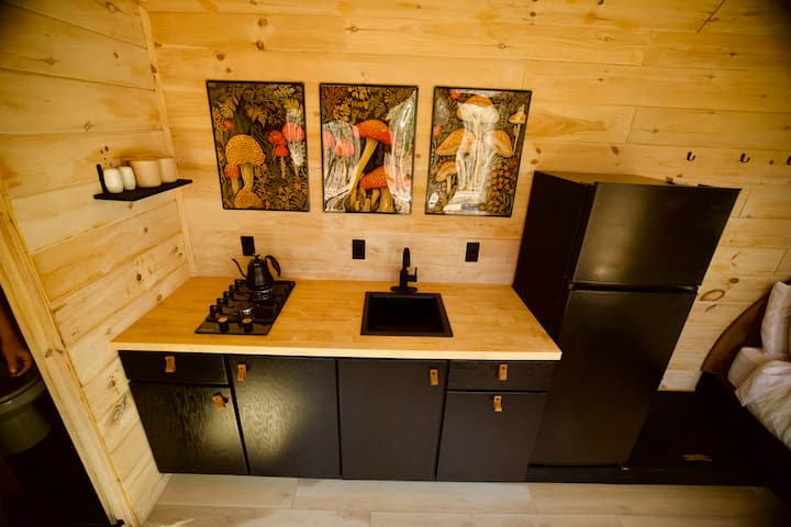 Modern Tiny Home Tucked In The Trees - Monterey, TN