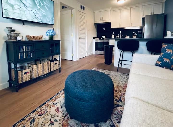 1br + Sleeper Sofa | Walk To Stadium | Samford Ave - Chewacla State Park, Auburn