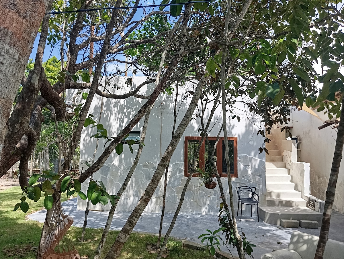 A serene outdoor space is surrounded by lush greenery, featuring a minimalistic white building with a large window. A comfortable chair is positioned near the steps that lead to the entrance, while trees and foliage create a natural and shaded environment.