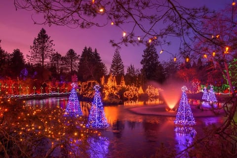 Successful Airbnb property: 1 Bd Suite Next to the Best Xmas Lights- Van Dusen in Shaughnessy