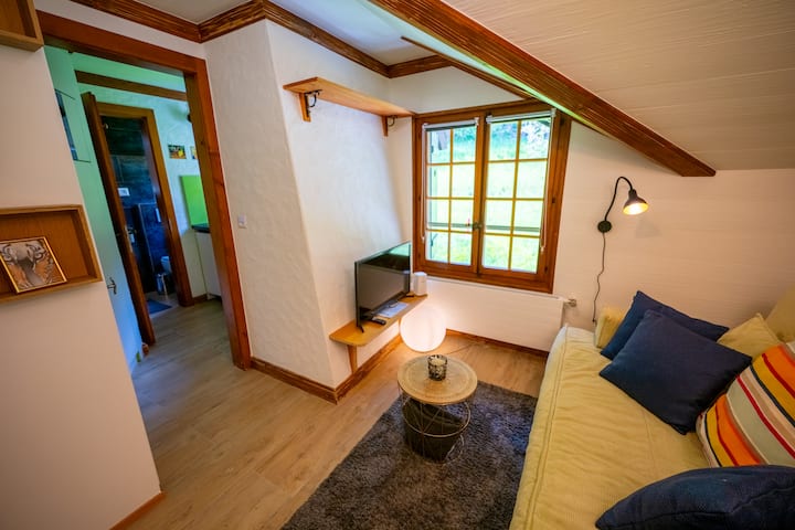 Cosy Et Calme Au Coeur De Leysin - Leysin