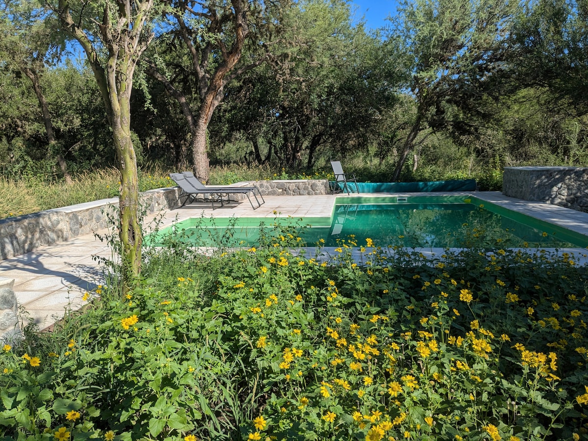 An outdoor pool area is surrounded by lush greenery and flowering plants. Two lounge chairs are positioned on the pool deck made of stone. Sunlight illuminates the space, enhancing the inviting atmosphere of this tranquil retreat.