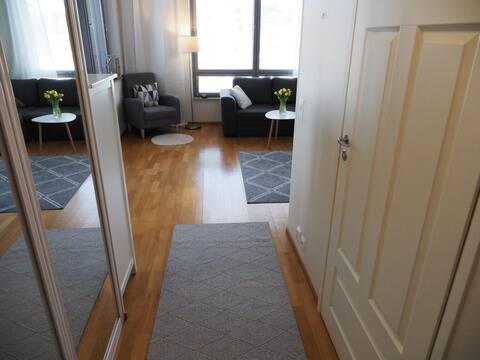 Successful Airbnb property: Air heat pump, parking garage, sauna, large two-room apartment in Joensuu