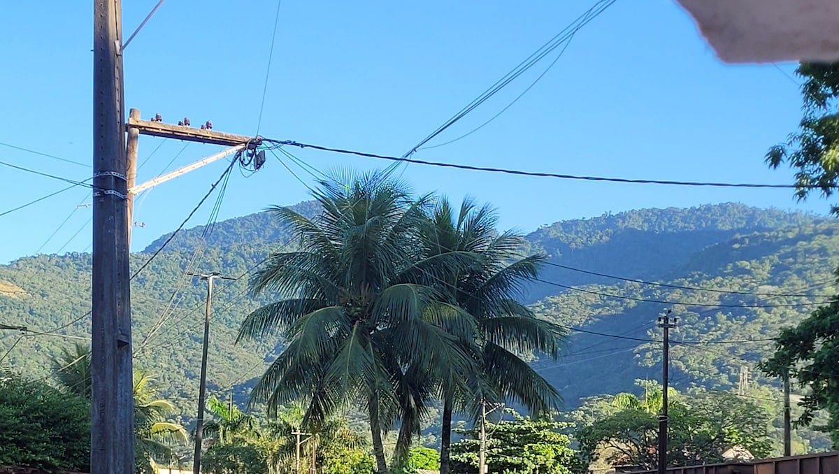 A view features a range of green mountains under a clear blue sky. Tall palm trees are visible in the foreground, surrounded by various lush vegetation. Utility poles and power lines are seen, indicating the accessibility of the area.