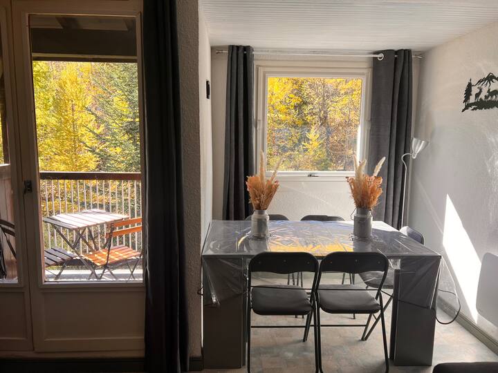 Appartement Duplex 34m2 Au Seignus Allos - Allos