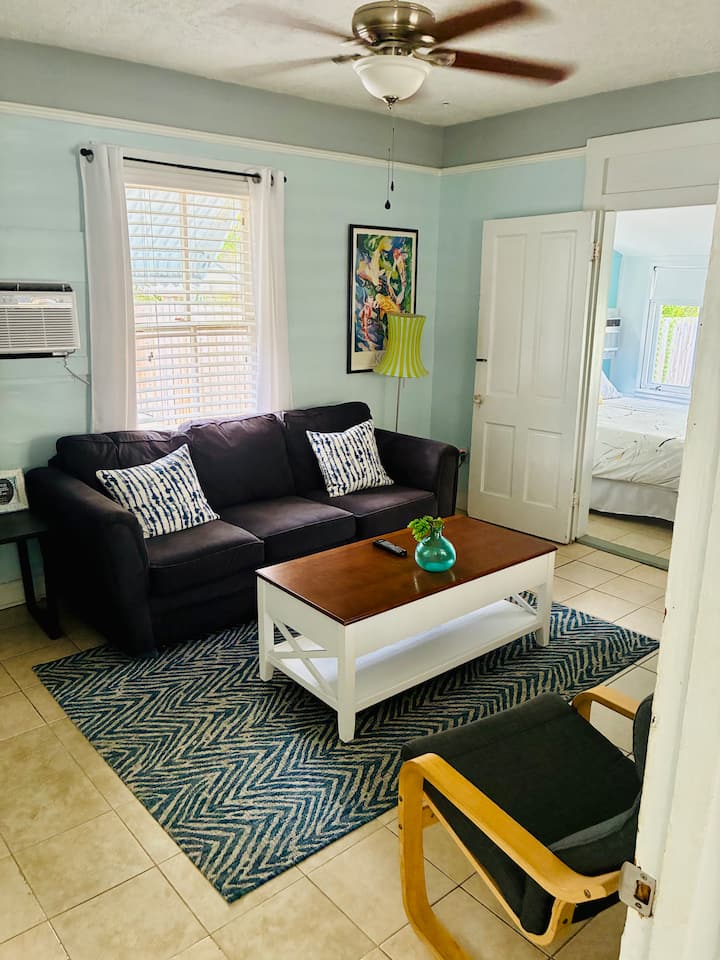 'Ole' Florida Cottage - Historical Old Ne - St. Petersburg, FL