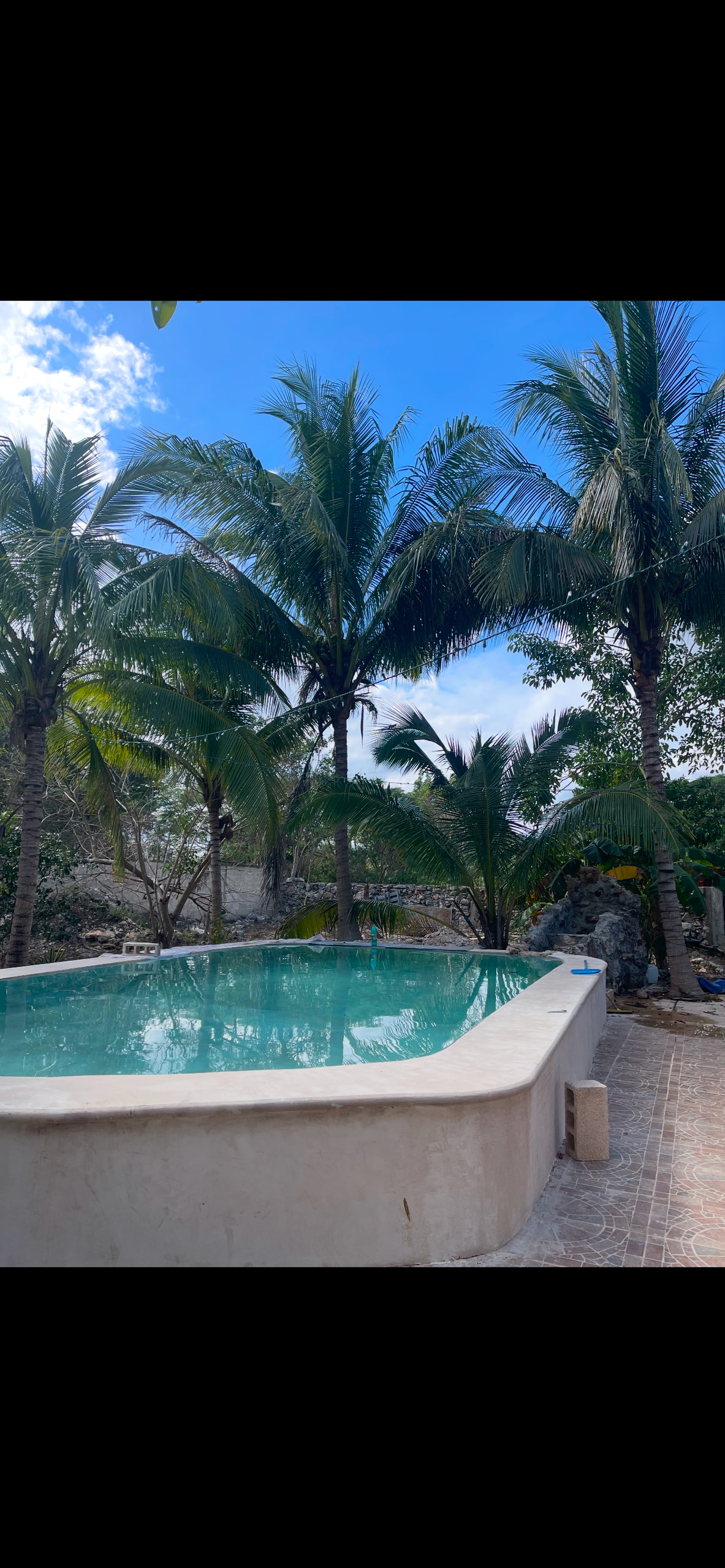 A tranquil pool is surrounded by lush palm trees, offering a refreshing escape. Sunlight reflects off the water's surface, creating a serene atmosphere. Natural landscaping enhances the private setting, encouraging relaxation and leisure.