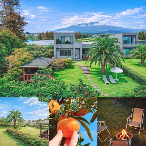 Fantastic Tangerine Orchard & Hallasan View/Private Villa for One Team Only/Large BBQ & Toddler Hot 