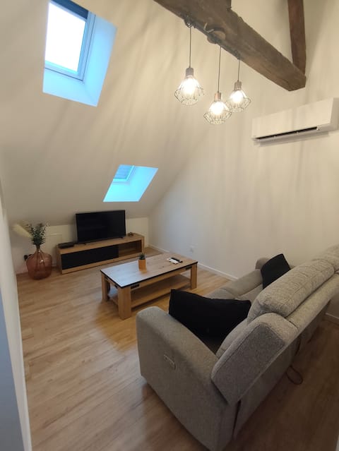 Top performing Airbnb: T3 air-conditioned Hyper-center in Dole