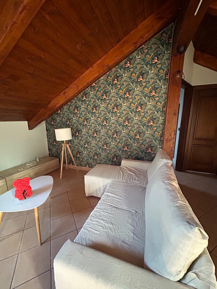 *Accogliente Casa Mansardata!* - Rivoli