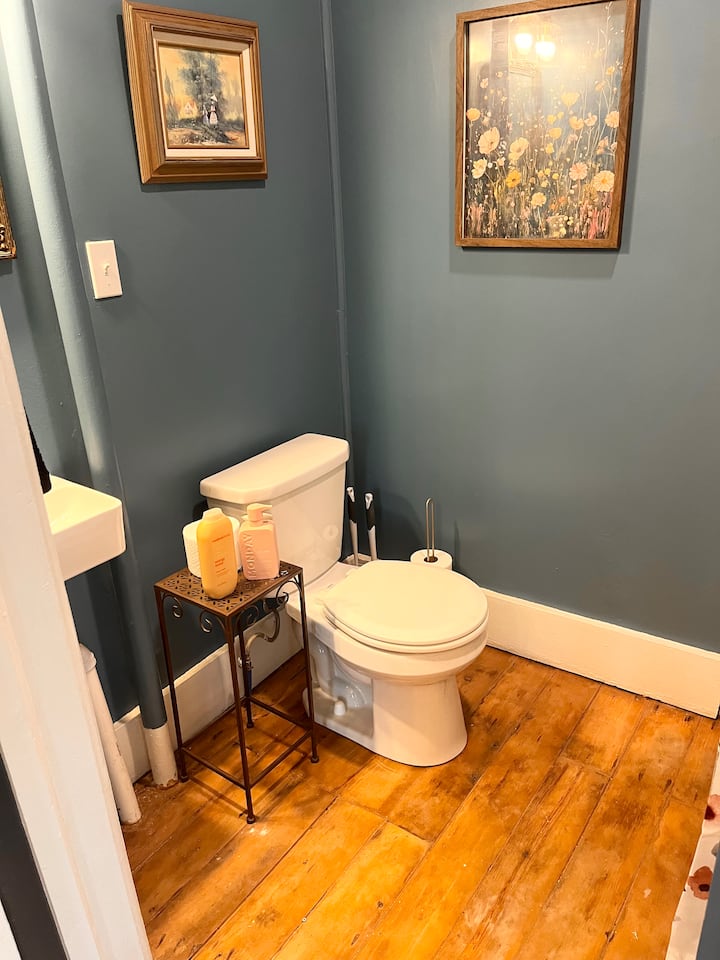 Restored 1880 Italianate In Downtown! - Muskegon, MI