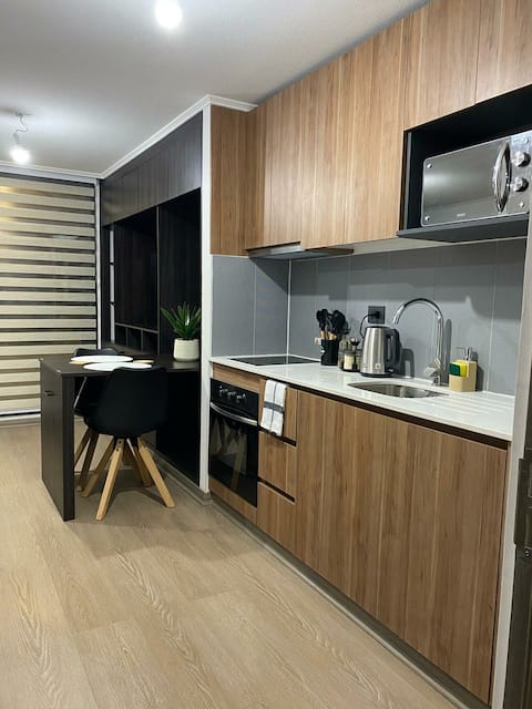 Top performing Airbnb: Apartment in Concepción in Concepción