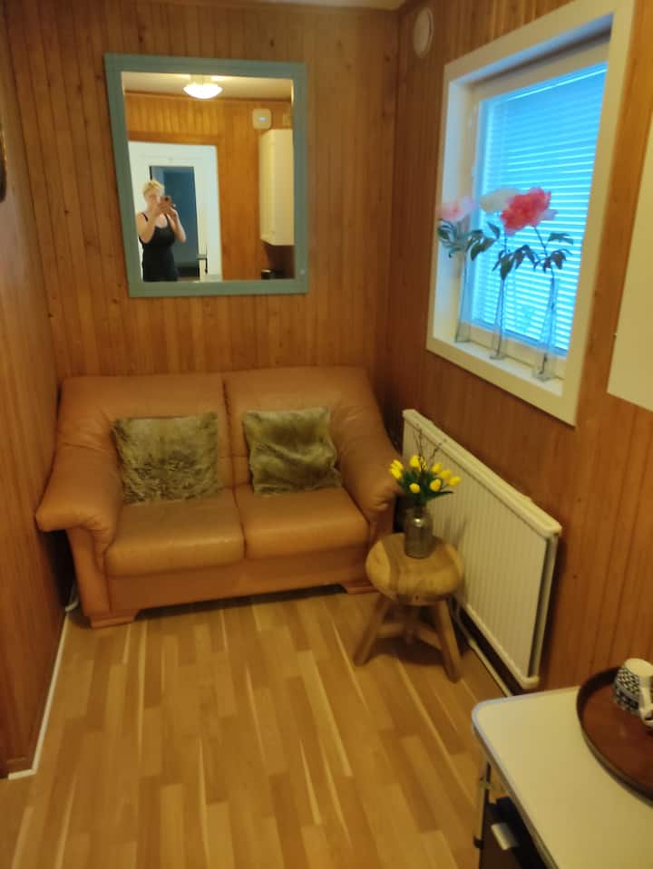 Gastenverblijf Gelegen In Het Bos Aan Een Meer - Sweden