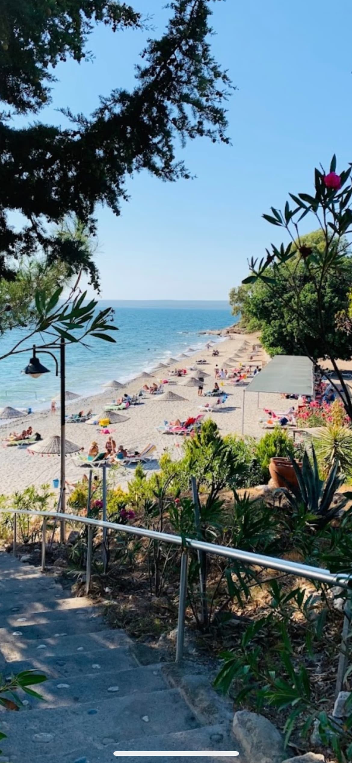 The beach scene features a sandy coastline where guests are seen relaxing on colorful loungers and beach towels. Lush greenery borders the area, with palm trees and flowering plants adding to the natural beauty. The calm blue sea stretches into the distance under clear skies.