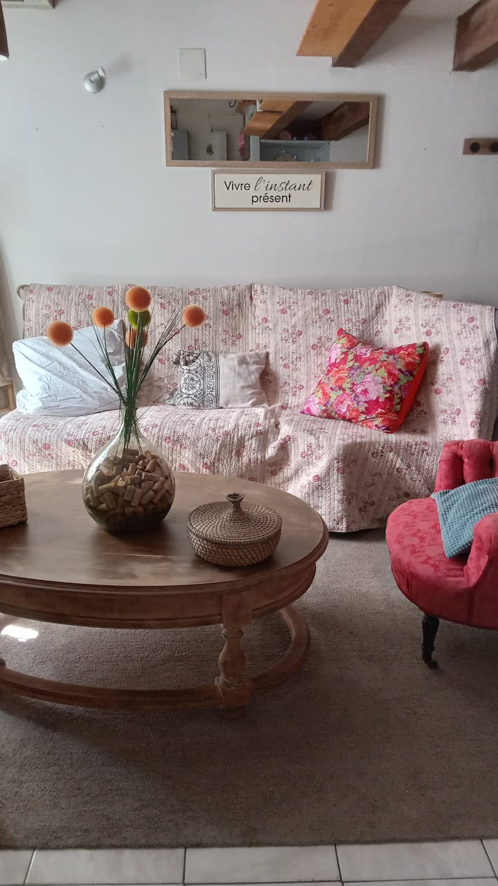 Appartement Sans Prétention - Saint-Laurent-d'Aigouze