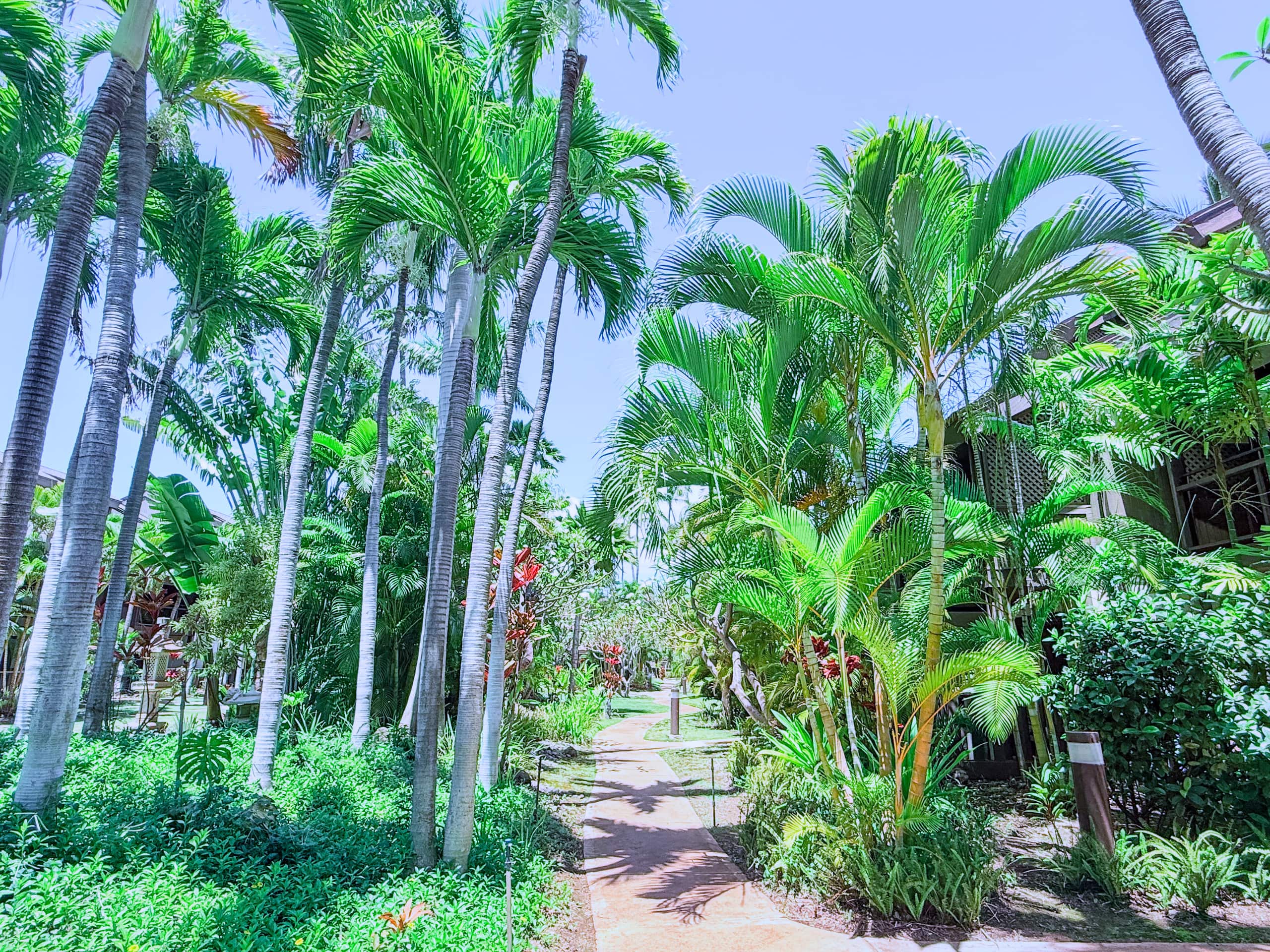Loft Comfort/ZenGarden/Kihei/Beach/Pool/King Bed - Image 36