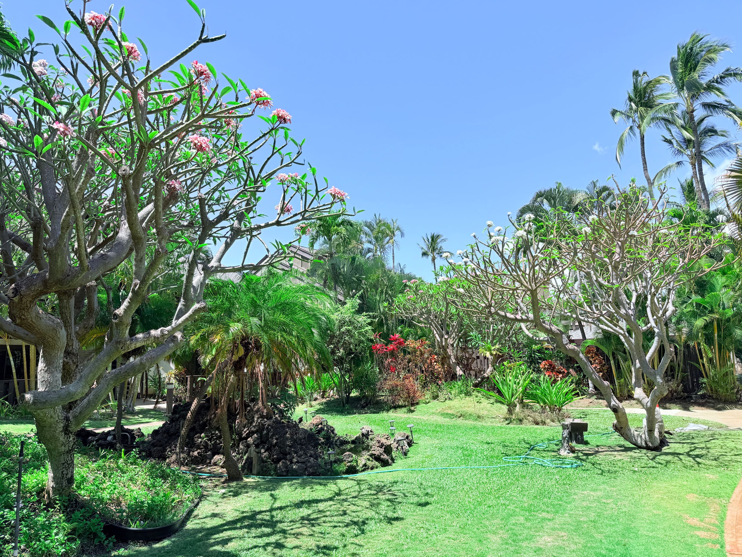 Loft Comfort/ZenGarden/Kihei/Beach/Pool/King Bed - Image 32