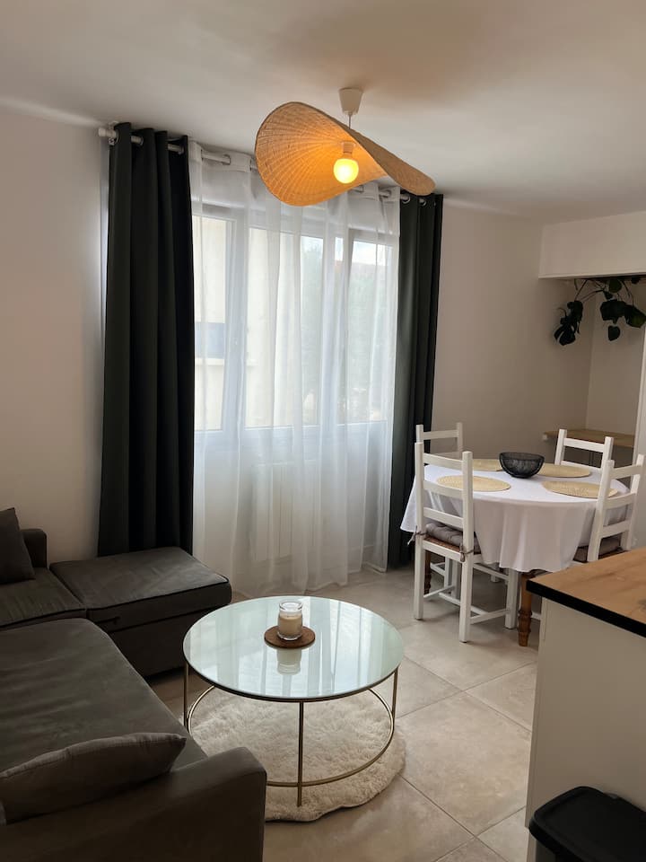 Appartement T2 En Bord De Mer - Châtelaillon-Plage