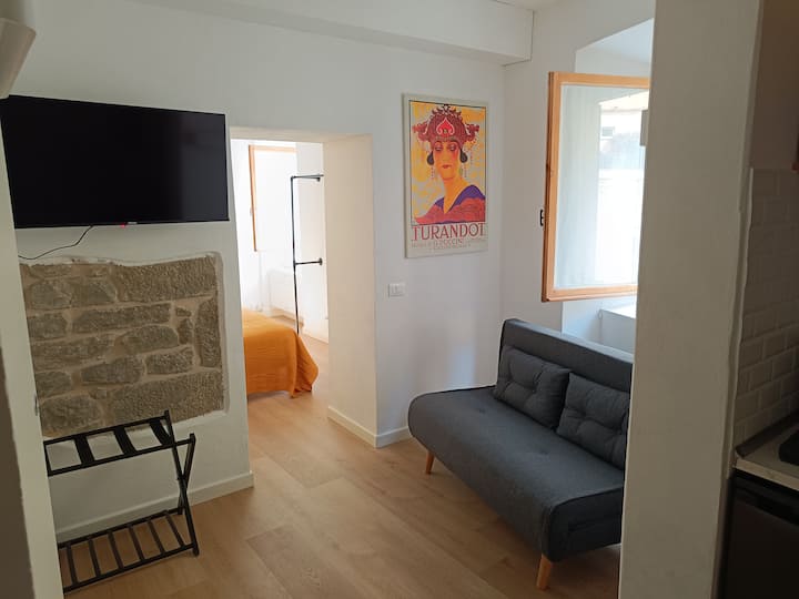 Მისაღები ოთახი გასაშლელი დივნითა ( 140x190) და ულტრათანამედროვე ტელევიზორით.