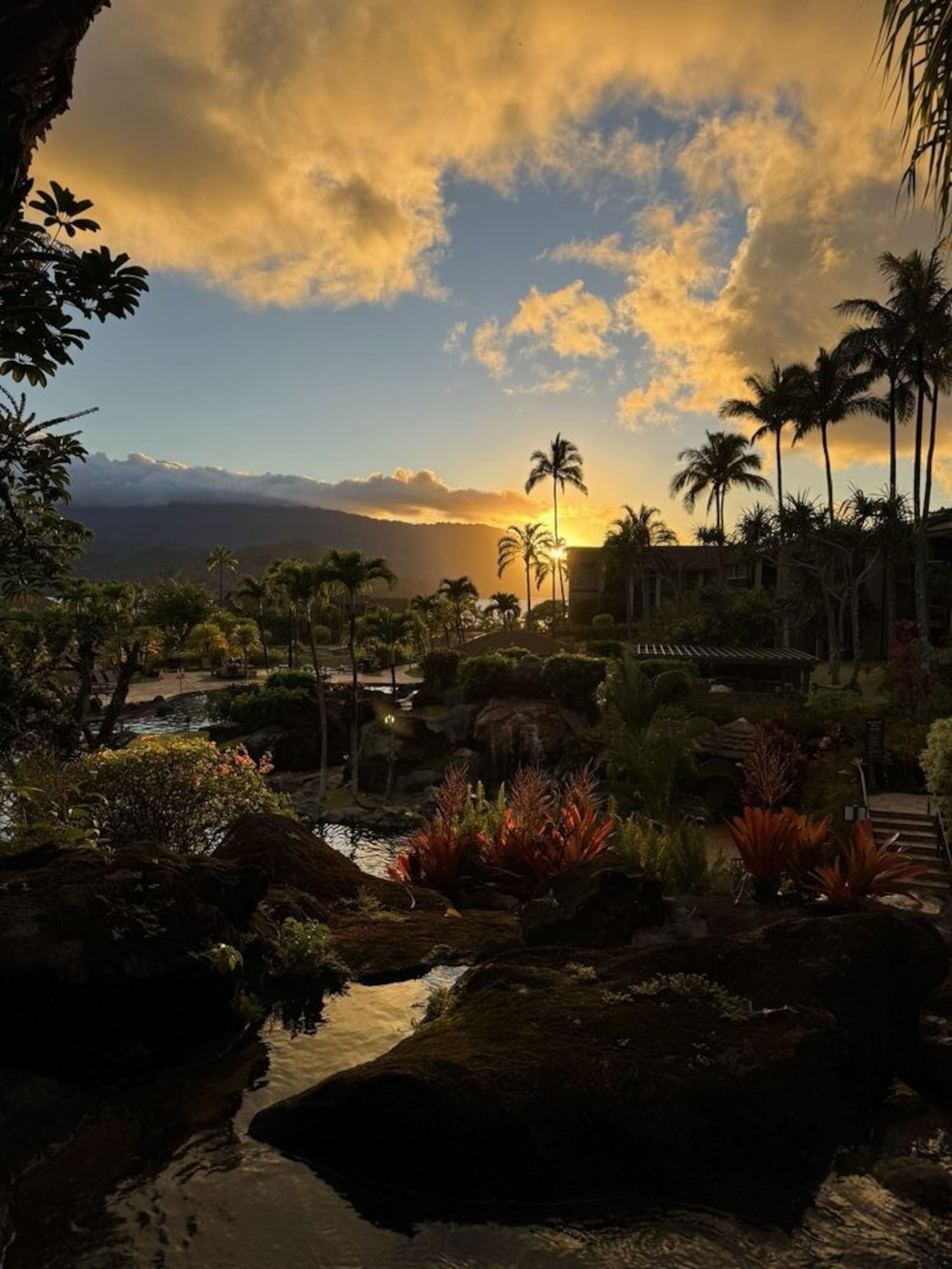 Condo in Princeville · ★4.9 · Studio · 1 bed · 1 bath - Image 16