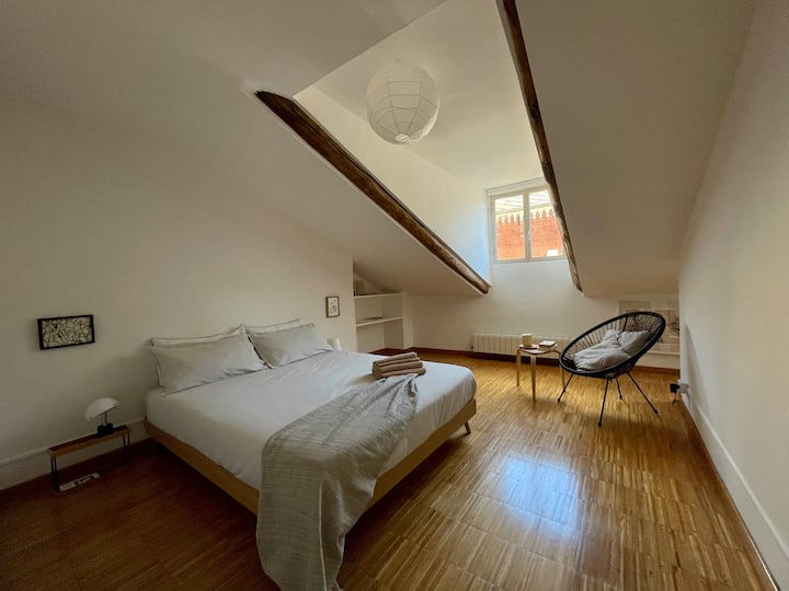 Charming Apartment Torino - Centro, Vanchiglia - Turin