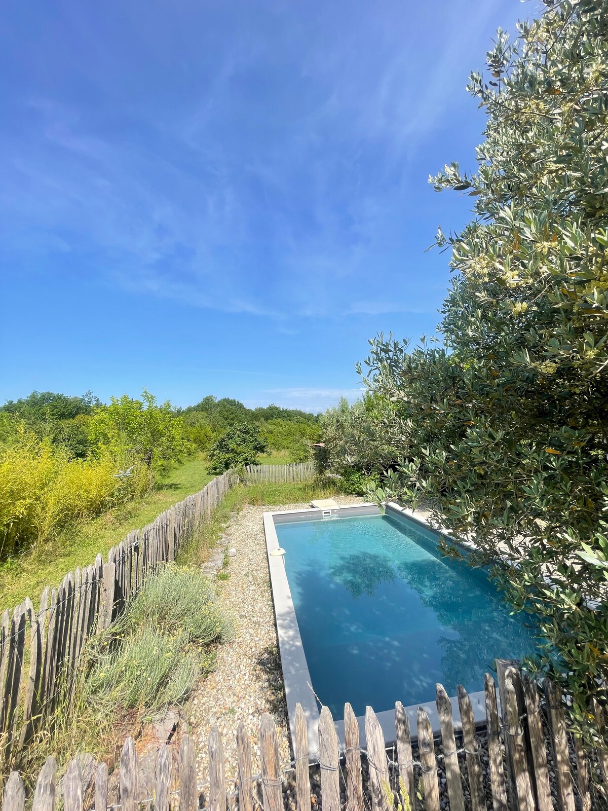 A private pool is surrounded by a wooden fence and lush greenery, providing a serene outdoor space. The water is calm, reflecting the clear blue sky overhead, while lavender and other plants are visible along the pool's edge, enhancing the natural setting.