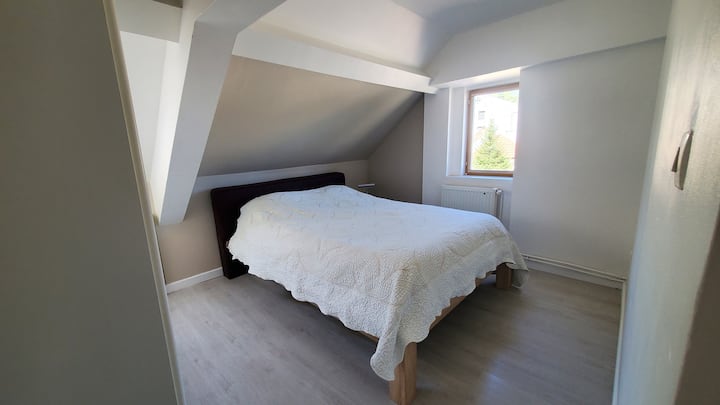 Habitación 1