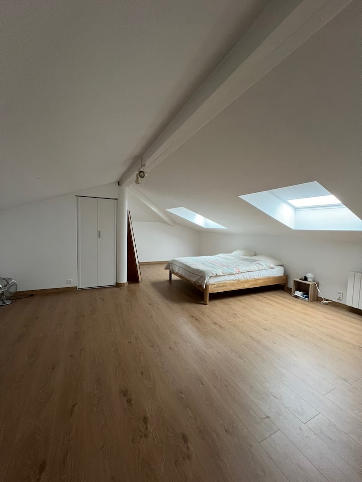 Gran espacio que se puede utilizar como dormitorio, oficina o sala de juegos. Bonitas vistas a las,montañas de Lauragais. La habitación está muy bien aislada y templada a pesar de su orientación sur. Numerosos espacios de almacenamiento.