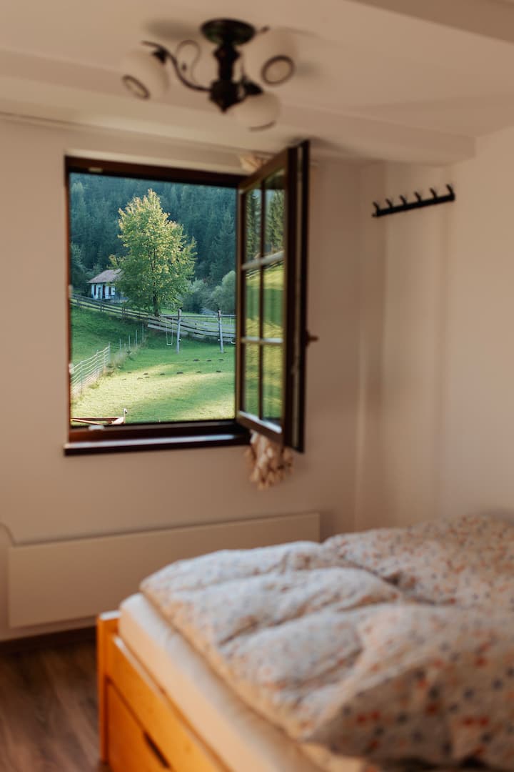 ÎNchiriază Cabana îNtreagă La Munte. - Județul Bacău