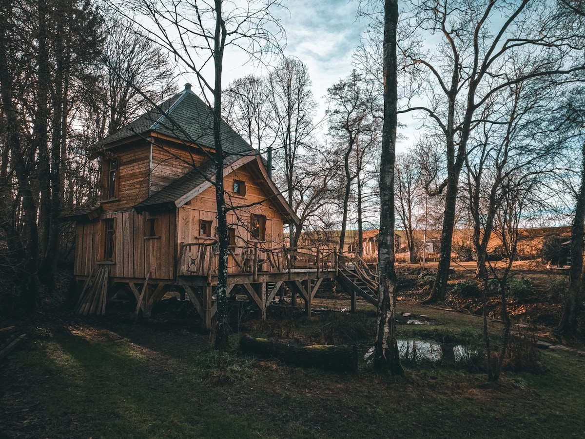 A wooden cabin is set on elevated stilts among tall trees. The structure features a rustic design, with multiple windows and a porch leading to the entrance. A pond is visible in the foreground, surrounded by lush greenery. The natural setting provides a peaceful atmosphere.