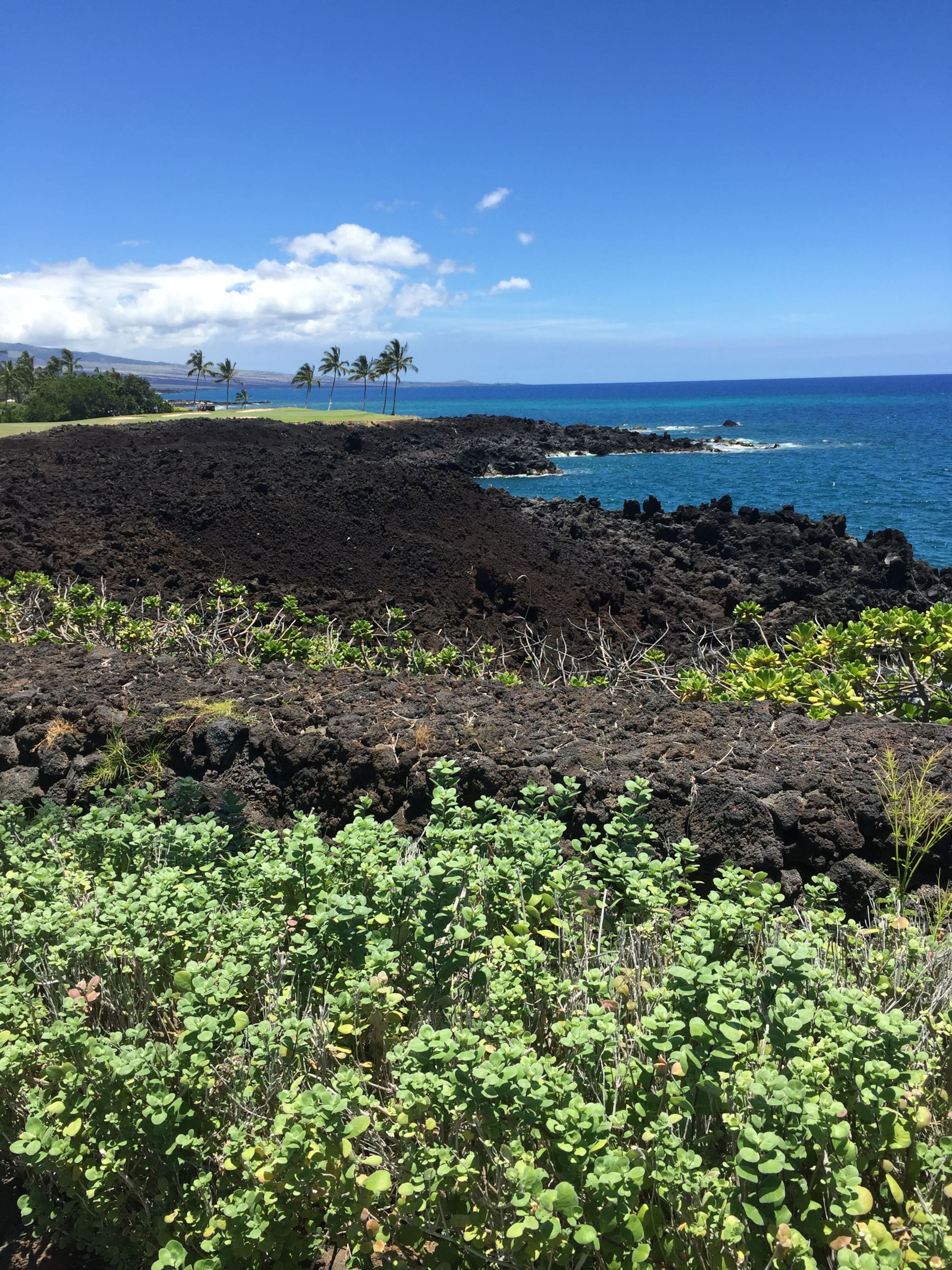 Townhouse in Waikoloa Village · ★5.0 · 2 bedrooms · 3 beds · 2 baths - Photo 42