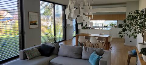 Large contemporary house