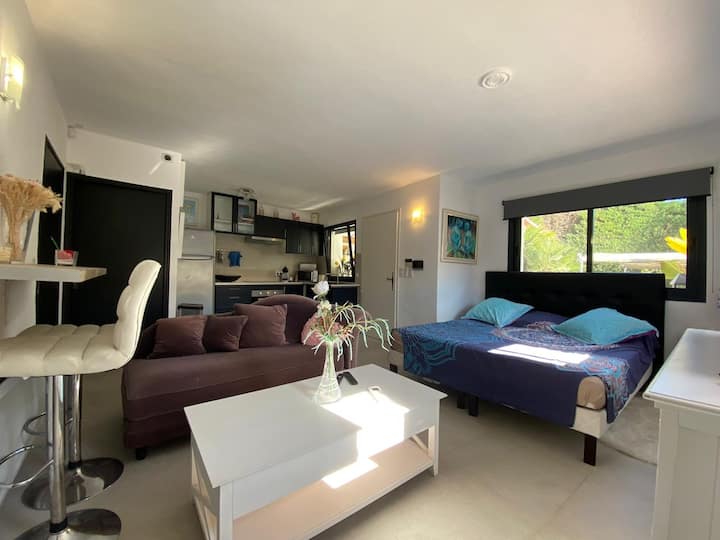 Maison D'invités 2 Pièces Domaine Privée Piscine - Cannes