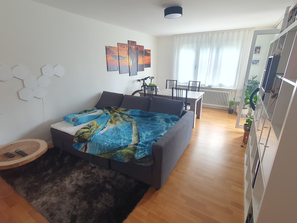 A cozy living area is furnished with a comfortable sofa bed adorned with a colorful blanket. A wooden table with four chairs is set nearby, complemented by a large window that allows natural light to fill the room. Decorative wall art enhances the space.