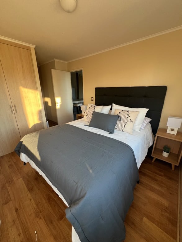 A well-appointed bedroom features a spacious bed with a dark grey coverlet and an array of decorative pillows. Natural light filters in through a nearby window, casting soft shadows on the wooden floor. A nightstand with a small lamp and a plant adds a touch of decor.