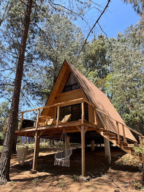 Cozy wooden cabin in the woods, Zacatlán