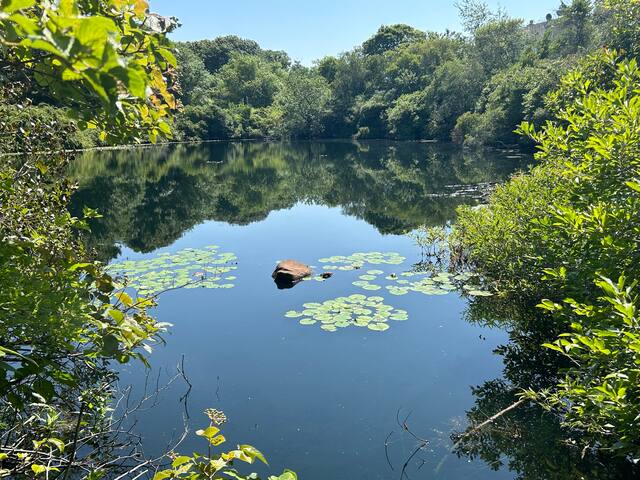 Windjammer | Luxury 5BR w/ AC gallery image 4