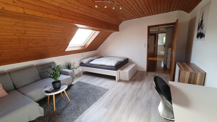Gemütliche 1-zi-wohnung Testturm/neckarline/messe - Villingen-Schwenningen