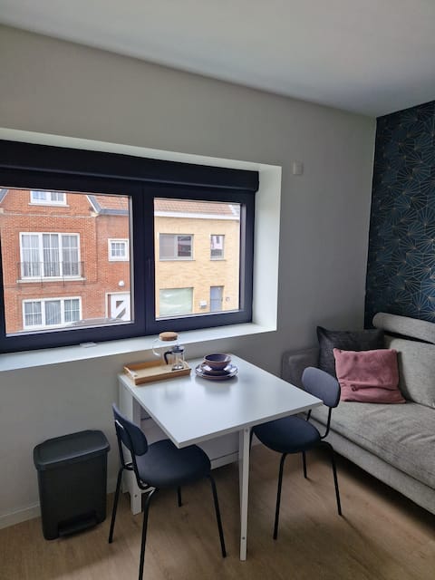 Room just outside the city center of Ghent