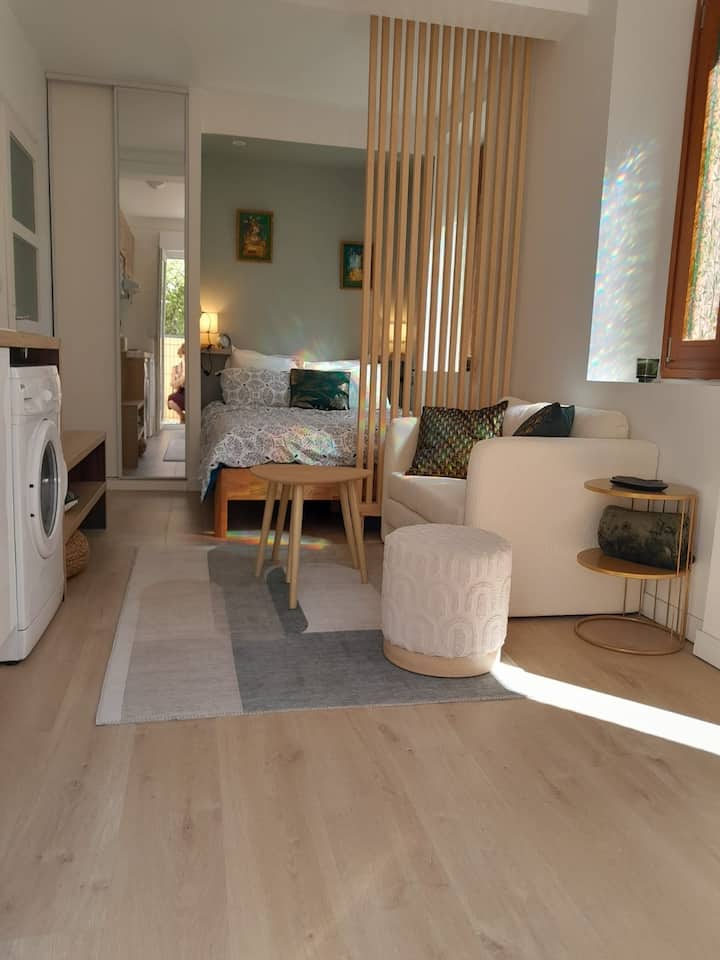 Appartement-saint Cyprien - Toulouse