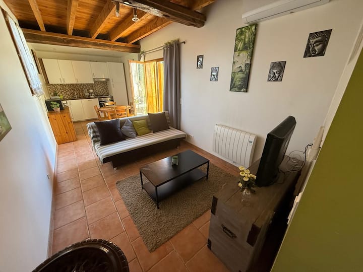 Logement Indépendant Avec Clim - Nogaro
